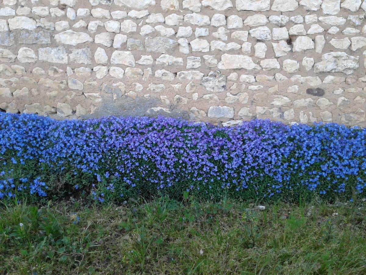 Villa Fleur Du Soleil Agudelle Esterno foto